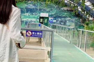 微密圈 – 林子喵Lynne的夏日美图：照片里藏着的秘密，你发觉了吗？