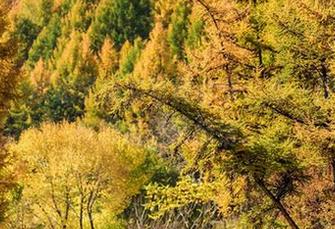 爱丝 – 欣杨学姐的写真合集，每一张都像在跟我说悄悄话。