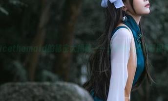 Alicethemaid的秘密大揭秘——王胖胖u的定制图集！